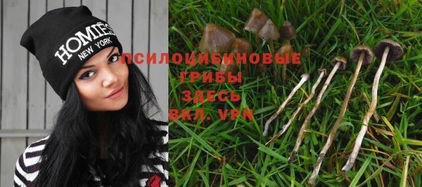 бутират Костерёво