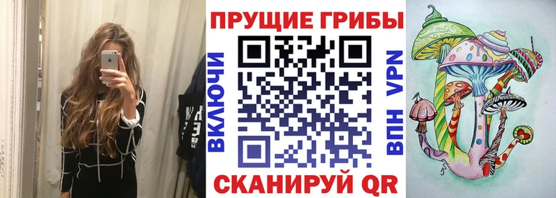 Купить где  Кохма  Псилоцибиновые грибы ЛСД 